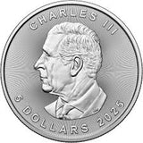 Maple Leaf Silver coin 1 oz